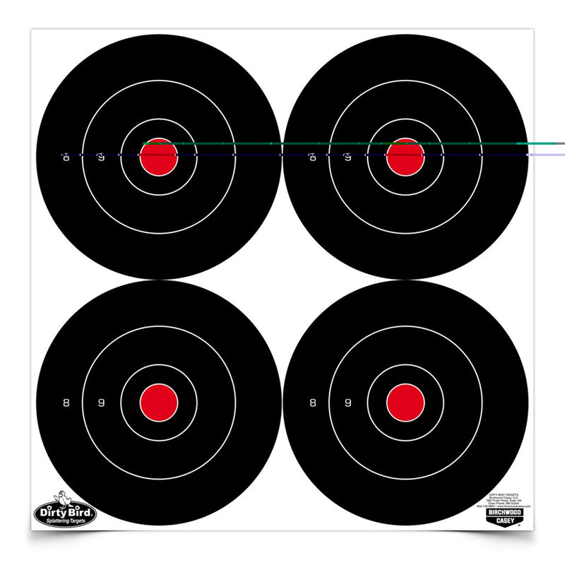 Load image into Gallery viewer, Birchwood Casey Dirty Bird Rnd Blseye Target 48-6