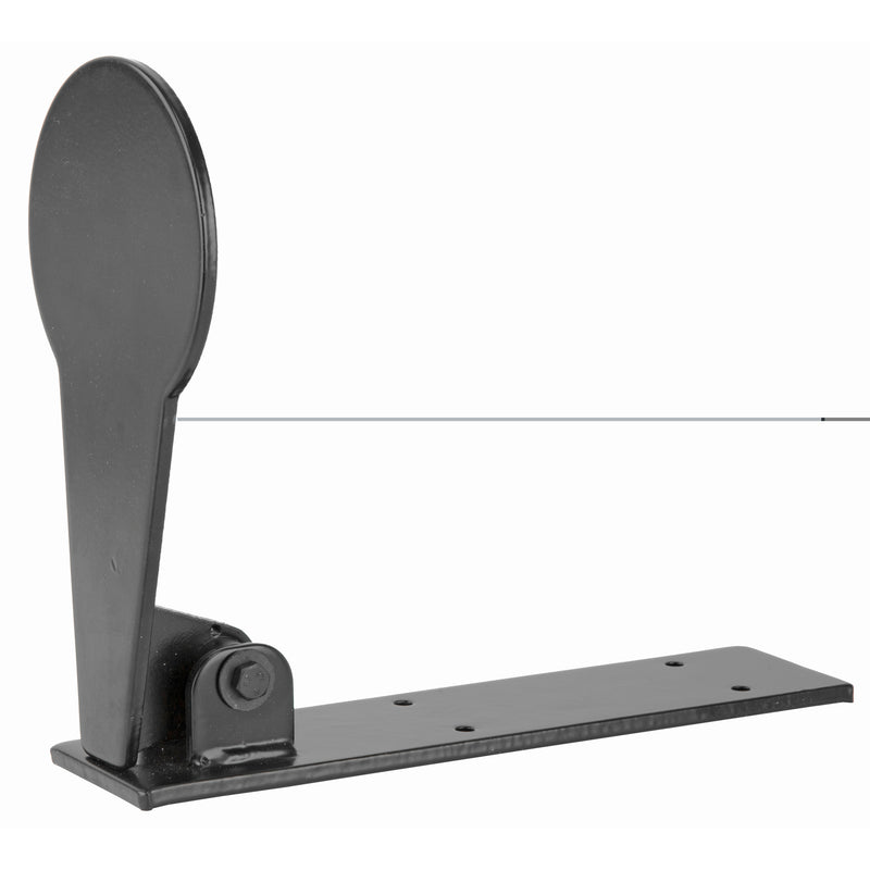 Load image into Gallery viewer, Birchwood Casey W-of-t Popper Rimfire 4" Paddle