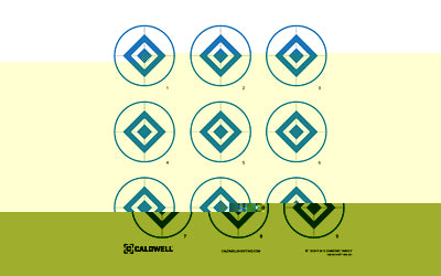 Load image into Gallery viewer, Caldwell Diamond Target 16" 10pk