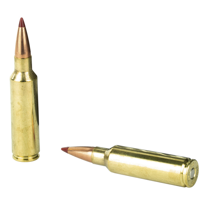 Load image into Gallery viewer, 283282587.jpg