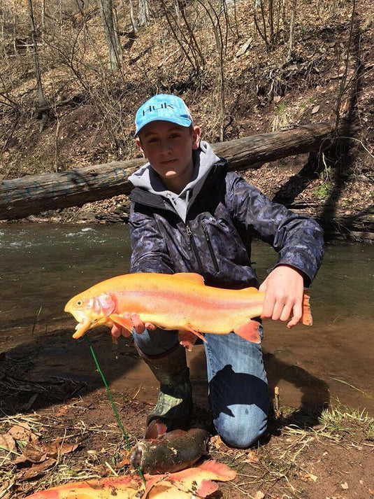 Berks County, PA, Fishing - TLO Outdoors