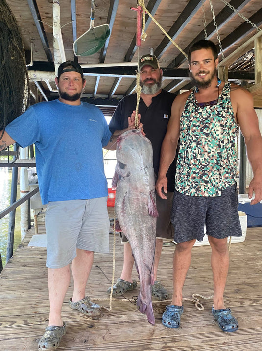 Monster Catfish Caught During Memorial Day Fishing Tournament - TLO Outdoors