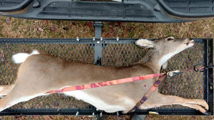 Chris Wyatt and his Son Shot Two Deer