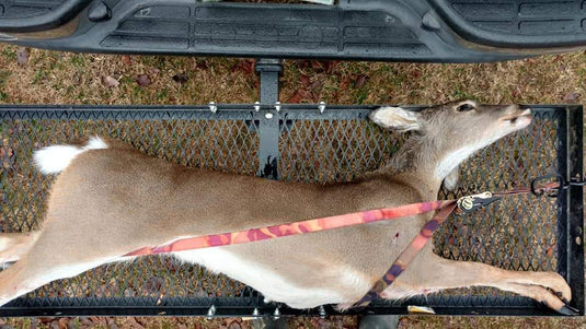 Chris Wyatt and his Son Shot Two Deer - TLO Outdoors