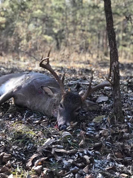 David Newburn Shoots First Buck of the Rifle Season - TLO Outdoors