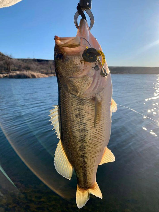 Demetre Velazquez Snags Nice Bass - TLO Outdoors