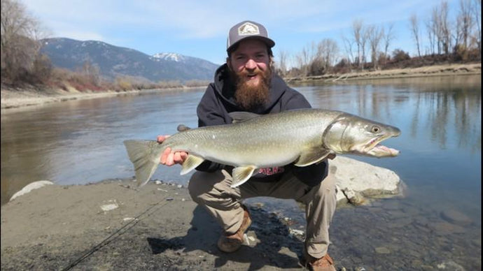 Idaho Fisherman Catches Record Bull Trout