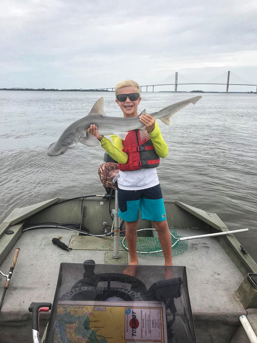 Reed Catches 36 Inch Bonnethead