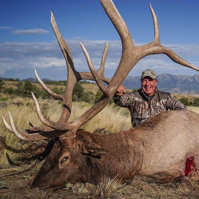 Monster Bull Shot in Nevada
