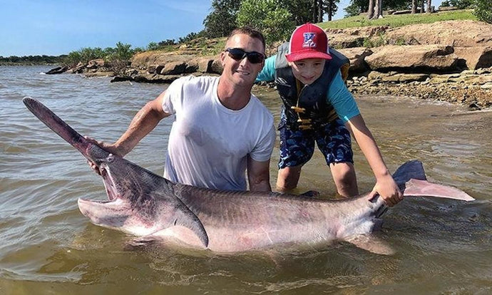 Oklahoma Fishing Guide Catches Record Paddlefish