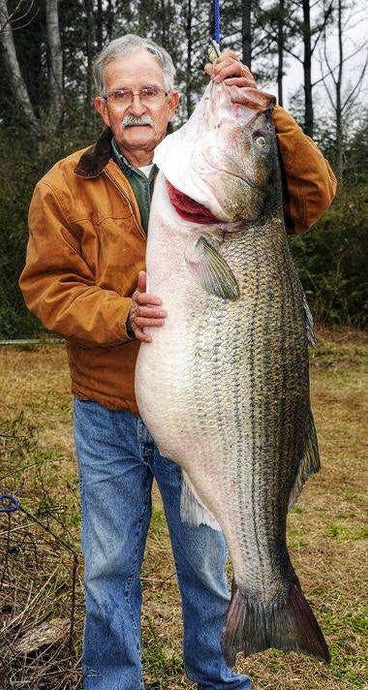 70 Pound Bass? No Way!