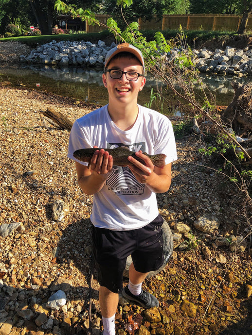 Sam Collinsworth Reels in Solid Rainbow Trout