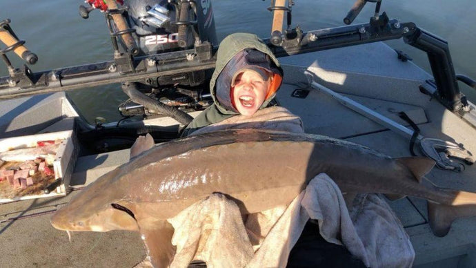9-Year-Old Tennessee Fisherman Catches 80 LB Sturgeon