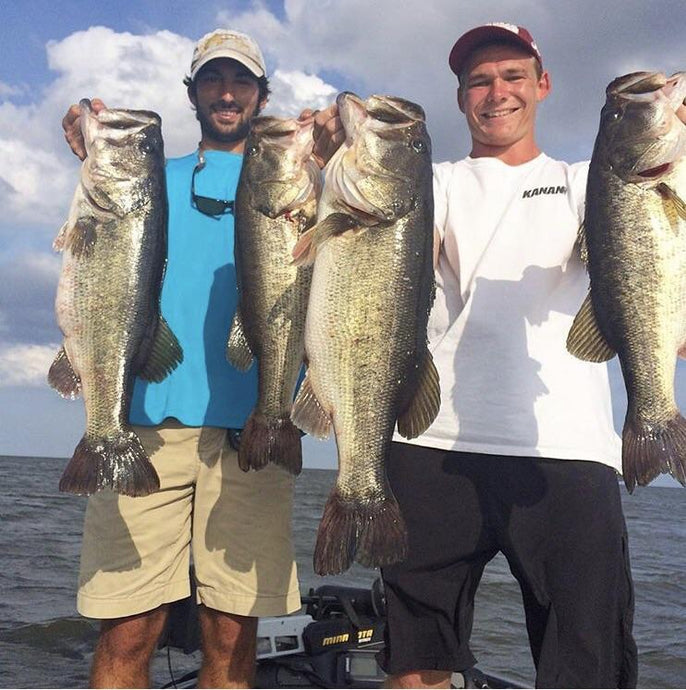 4 Largemouth Bass = 30 LBS = Okeechobee Fun