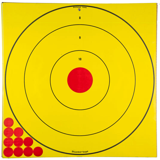 Birchwood Casey Shoot-N-C Long Range Blseye Target