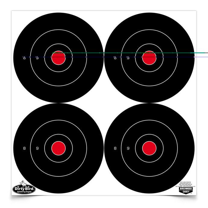 Birchwood Casey Dirty Bird Rnd Blseye Target 48-6