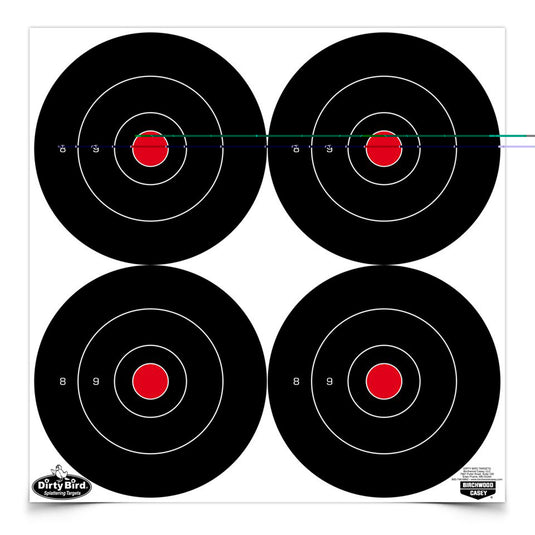 Birchwood Casey Dirty Bird Rnd Blseye Target 48-6