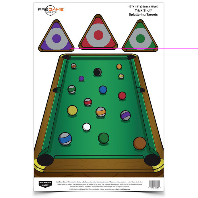 Birchwood Casey Pregame Trickshot Target 8-12x18