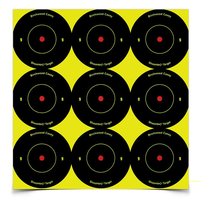 Birchwood Casey Shoot-N-C Rnd Bullseye Target 108-2