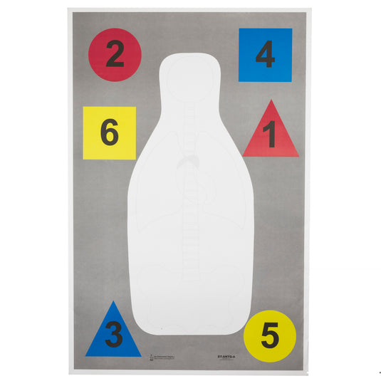 Action Target Dt Anatomy Multi (Pack of 100)