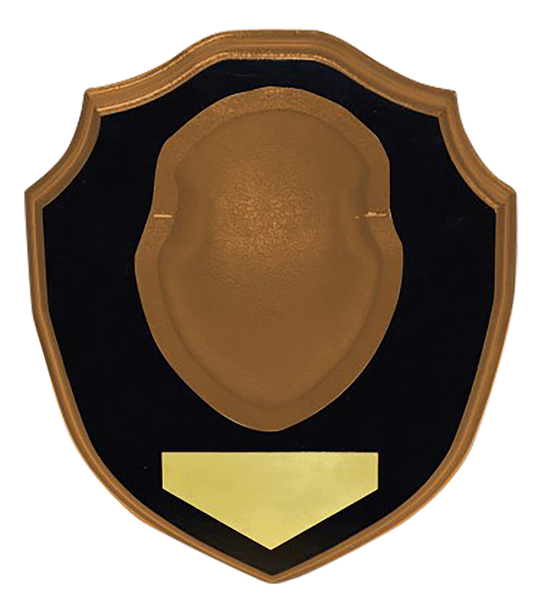 268652928.png