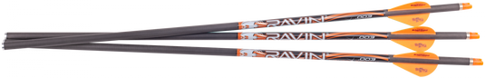 268654902.png