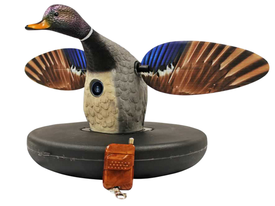 269492165.png