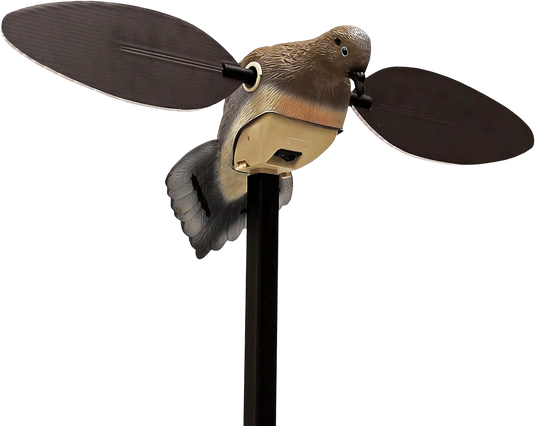 269492219.png