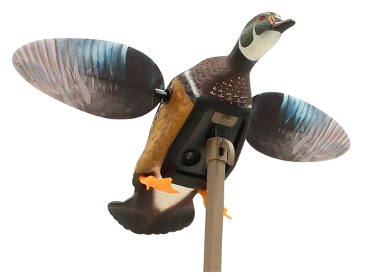 269492835.png