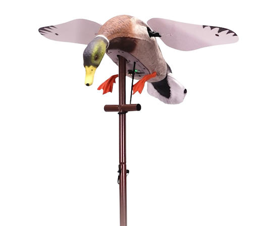 269493160.png