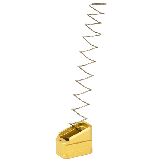 292862031.jpg