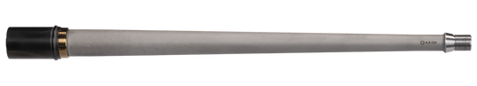 308989185.png