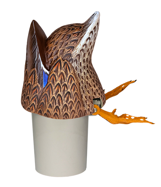 308990854.png