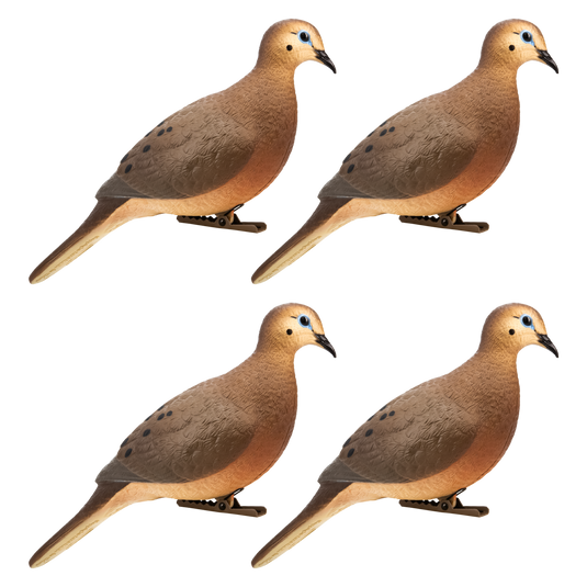 308990875.png