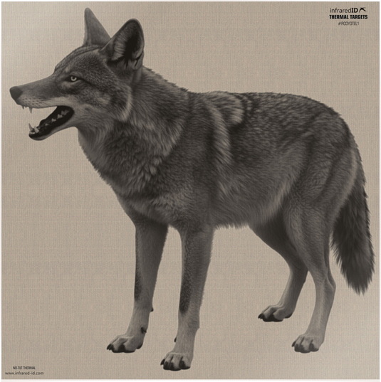 308991334.png