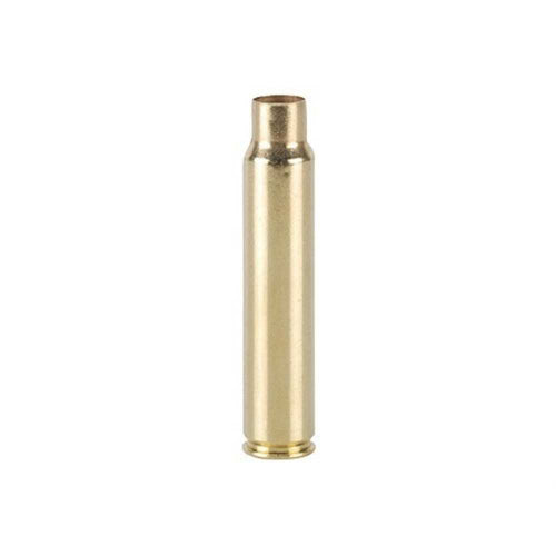 308992509.jpg
