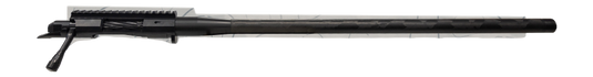 43e5beab24a38ab3c8c215d146c91556.png