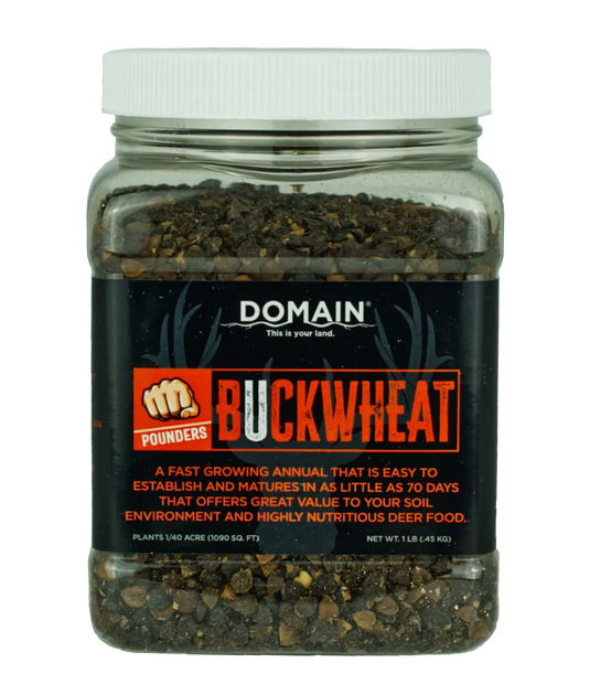 ad6ef7323ee77ff05e130c4c4fda3555.png